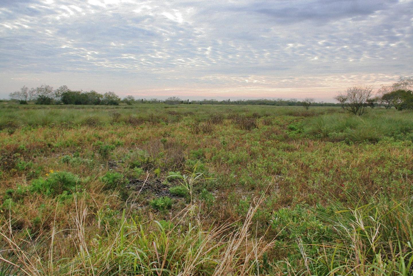 Palo Alto Battlefield