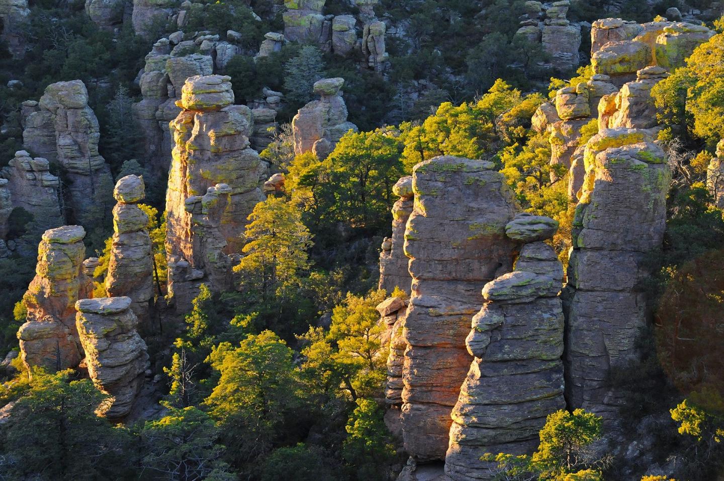American West Monthly: Chiricahua National Monument