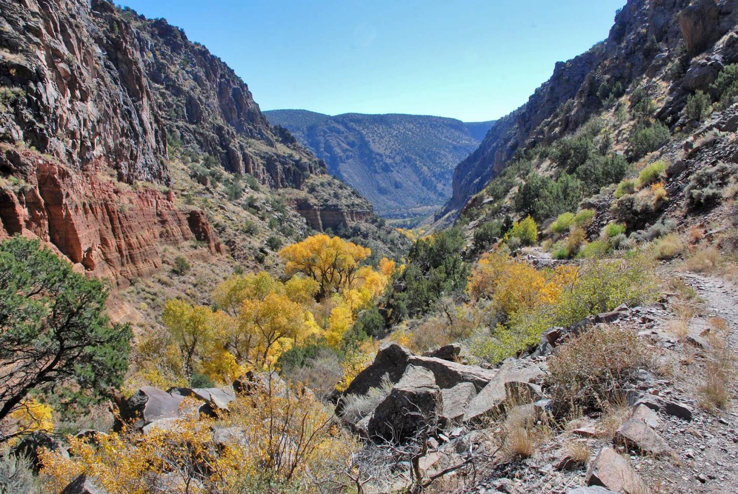 Bandelier