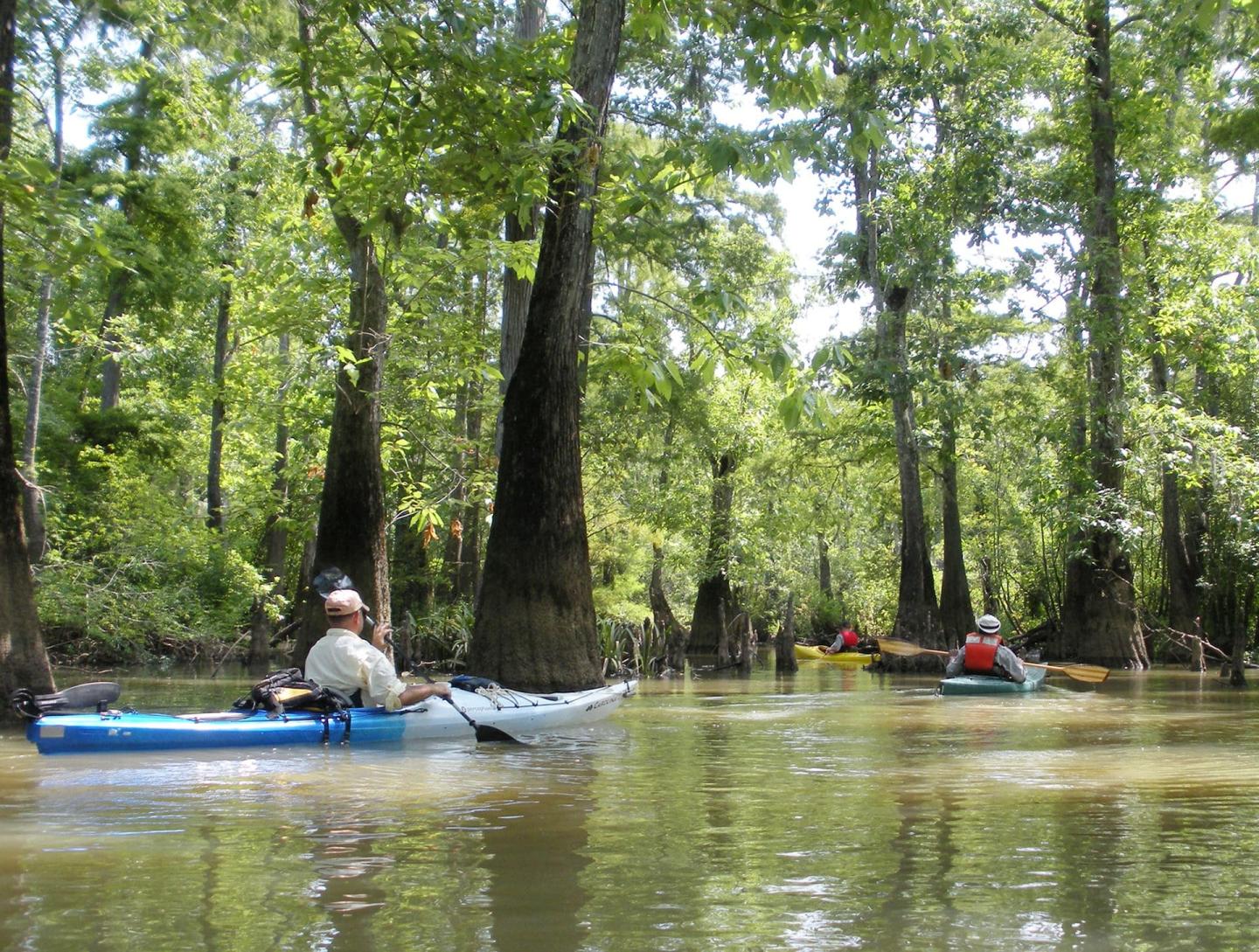 Big Thicket