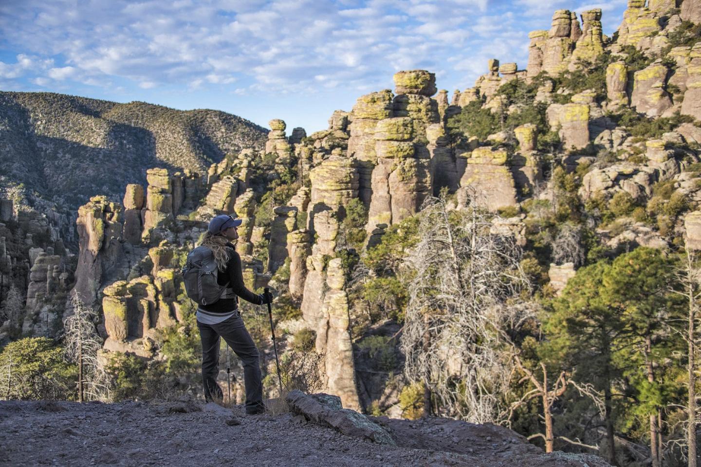 Chiricahua