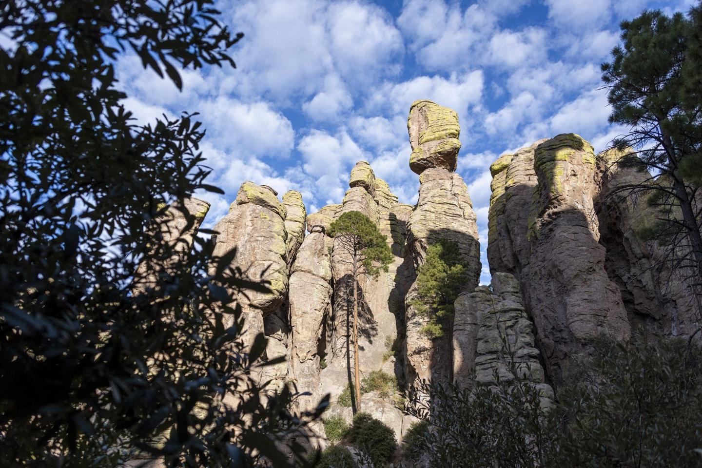 Chiricahua