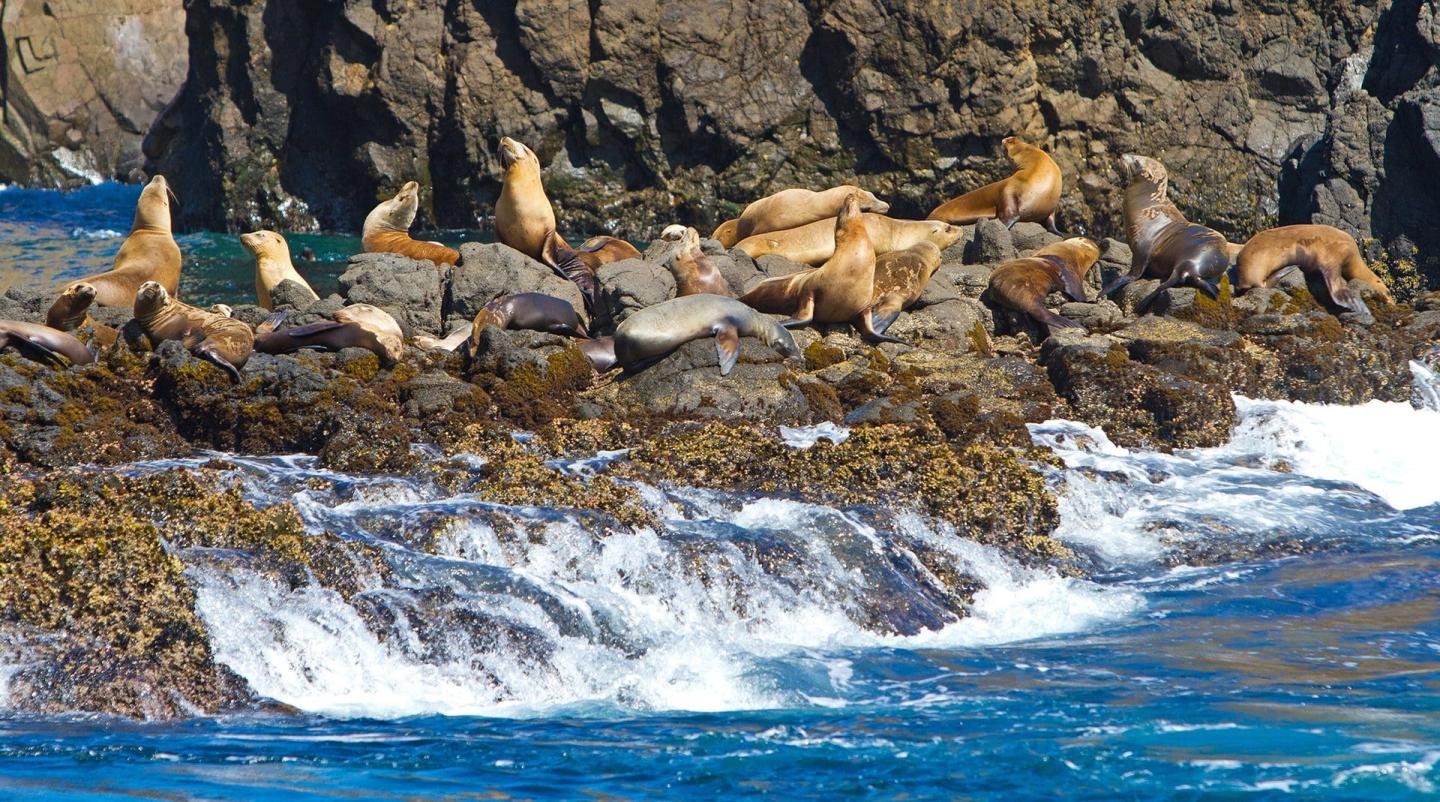 Channel Islands