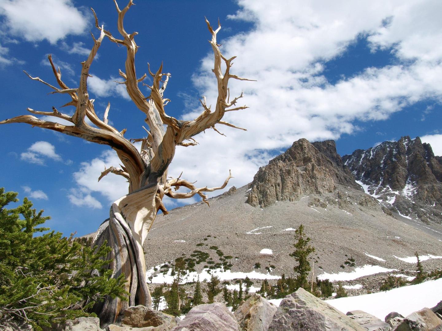 Great Basin