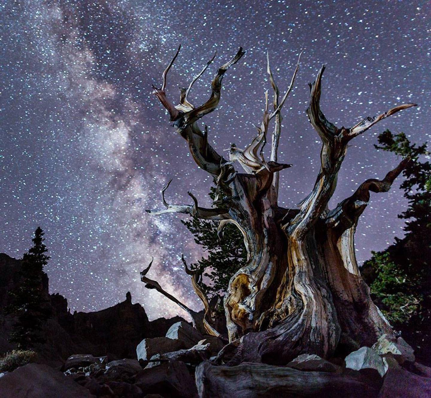 Great Basin