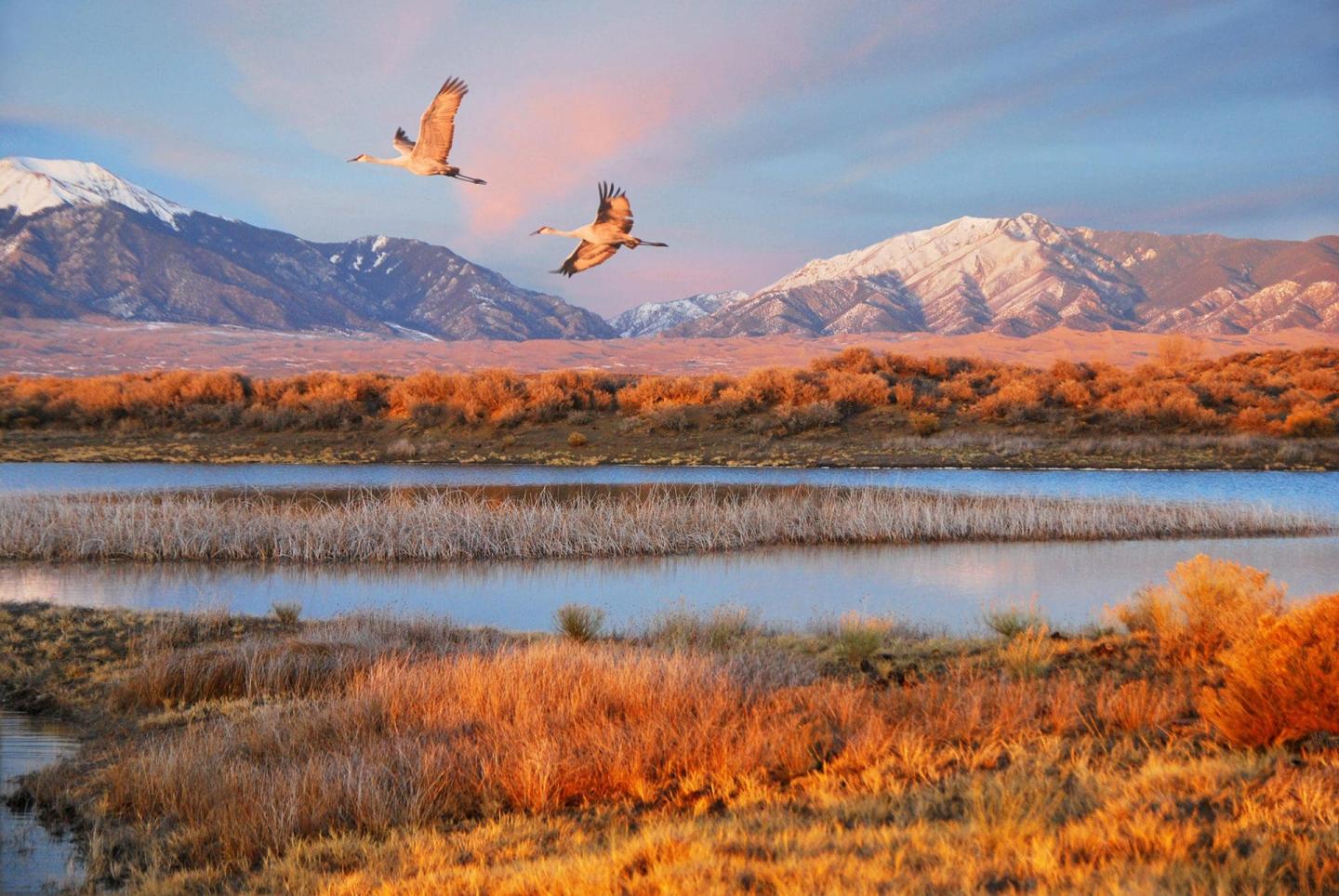 Great Sand Dunes