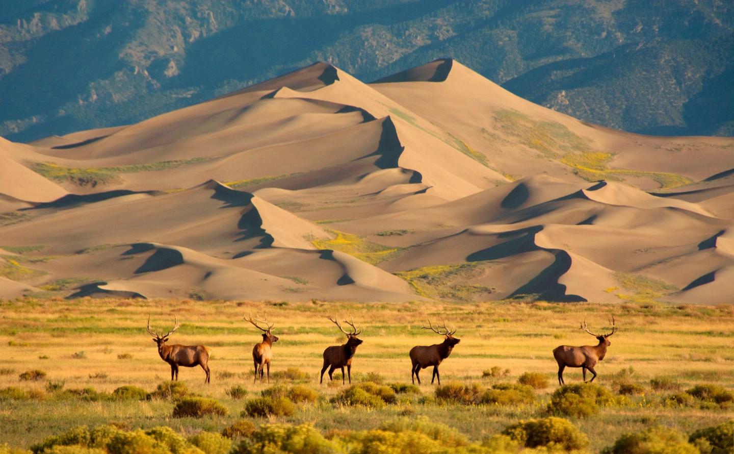 Great Sand Dunes