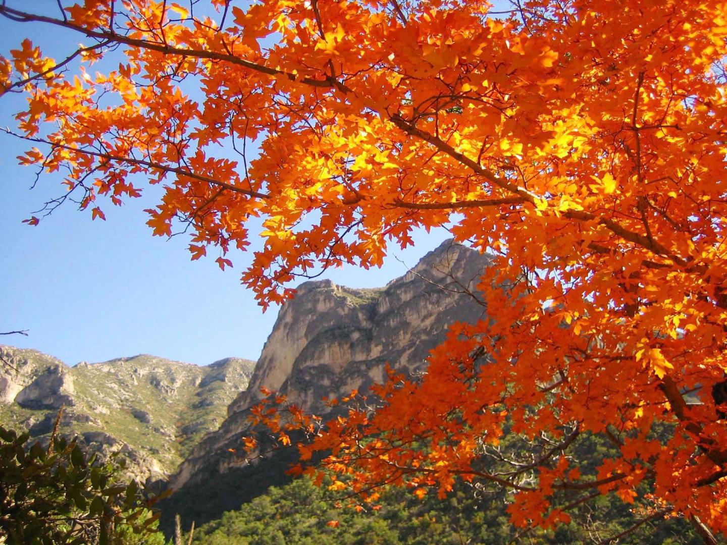 Guadalupe Mountains