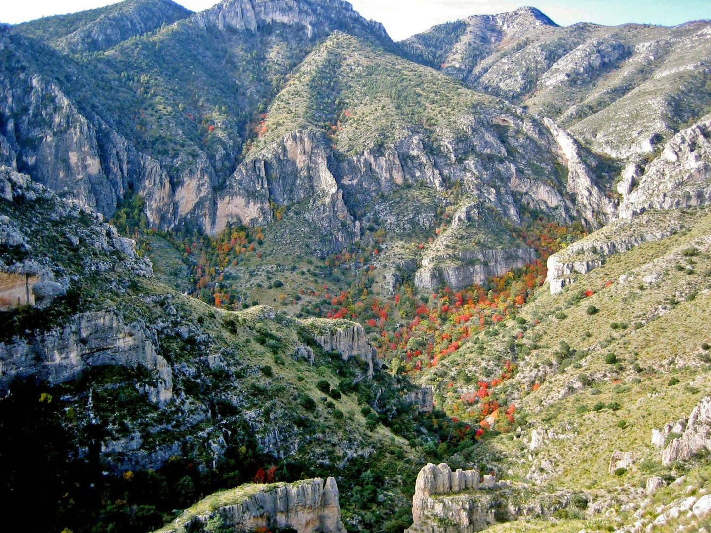 Guadalupe Mountains