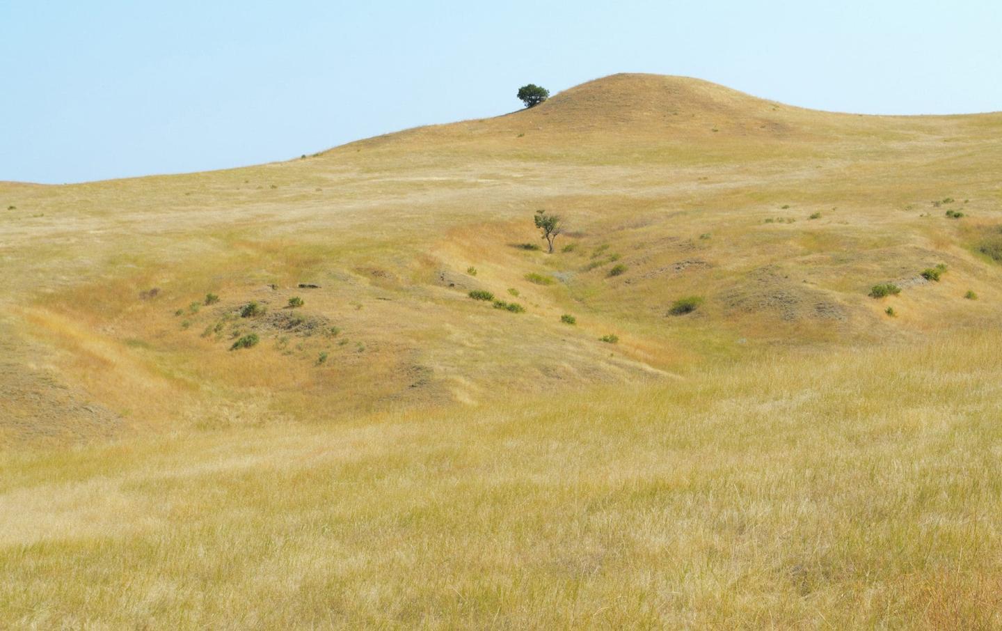 Little Bighorn Battlefield