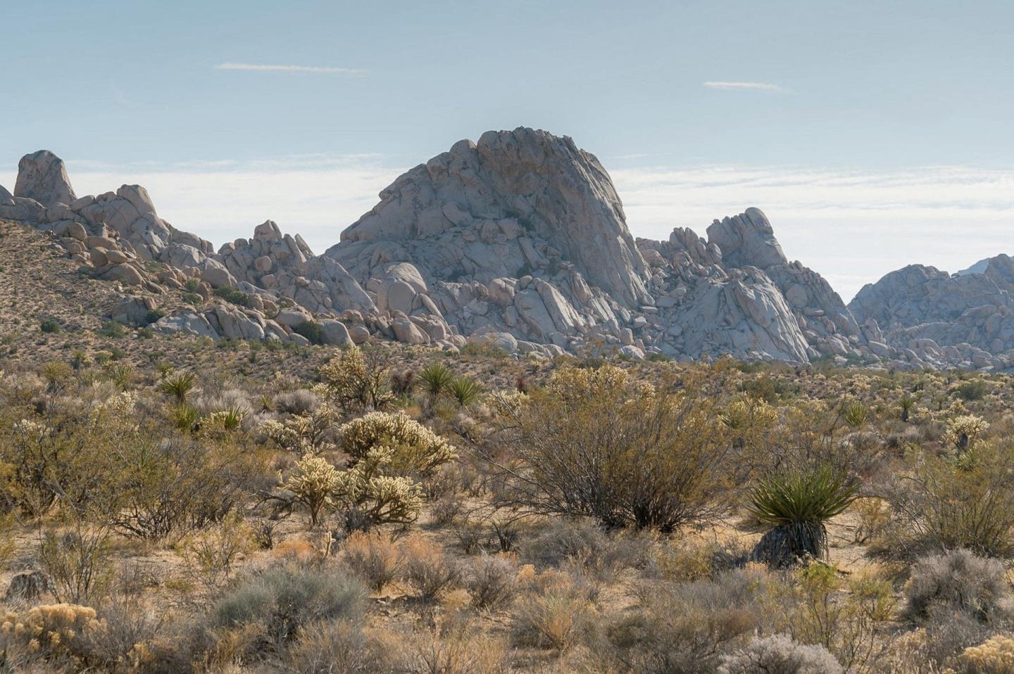 Mojave