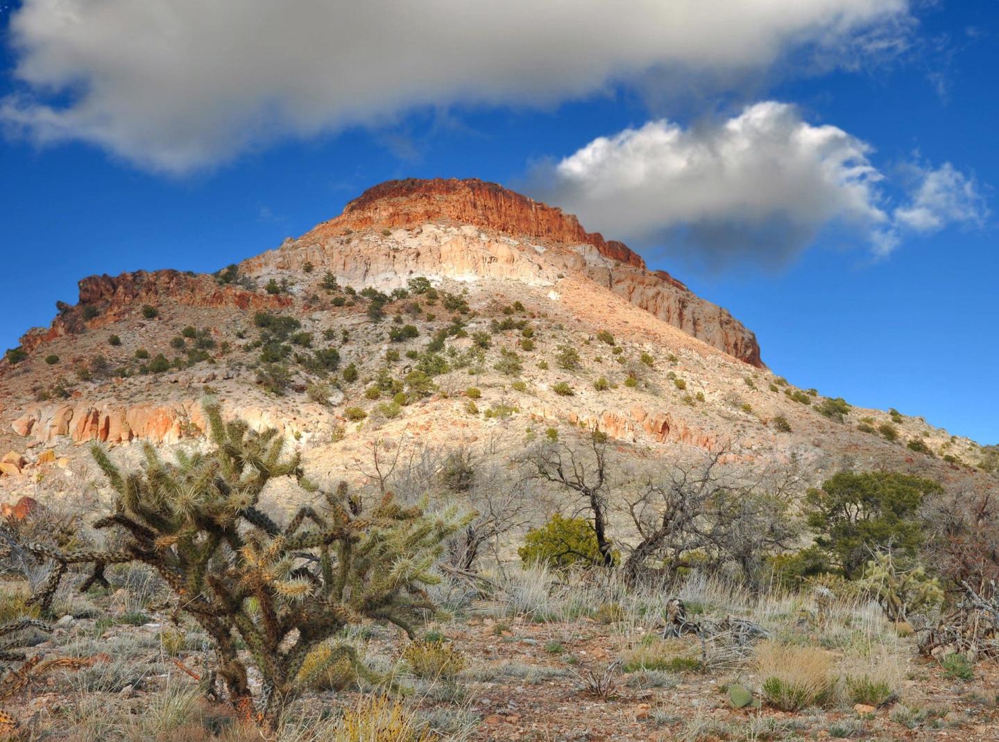 Mojave
