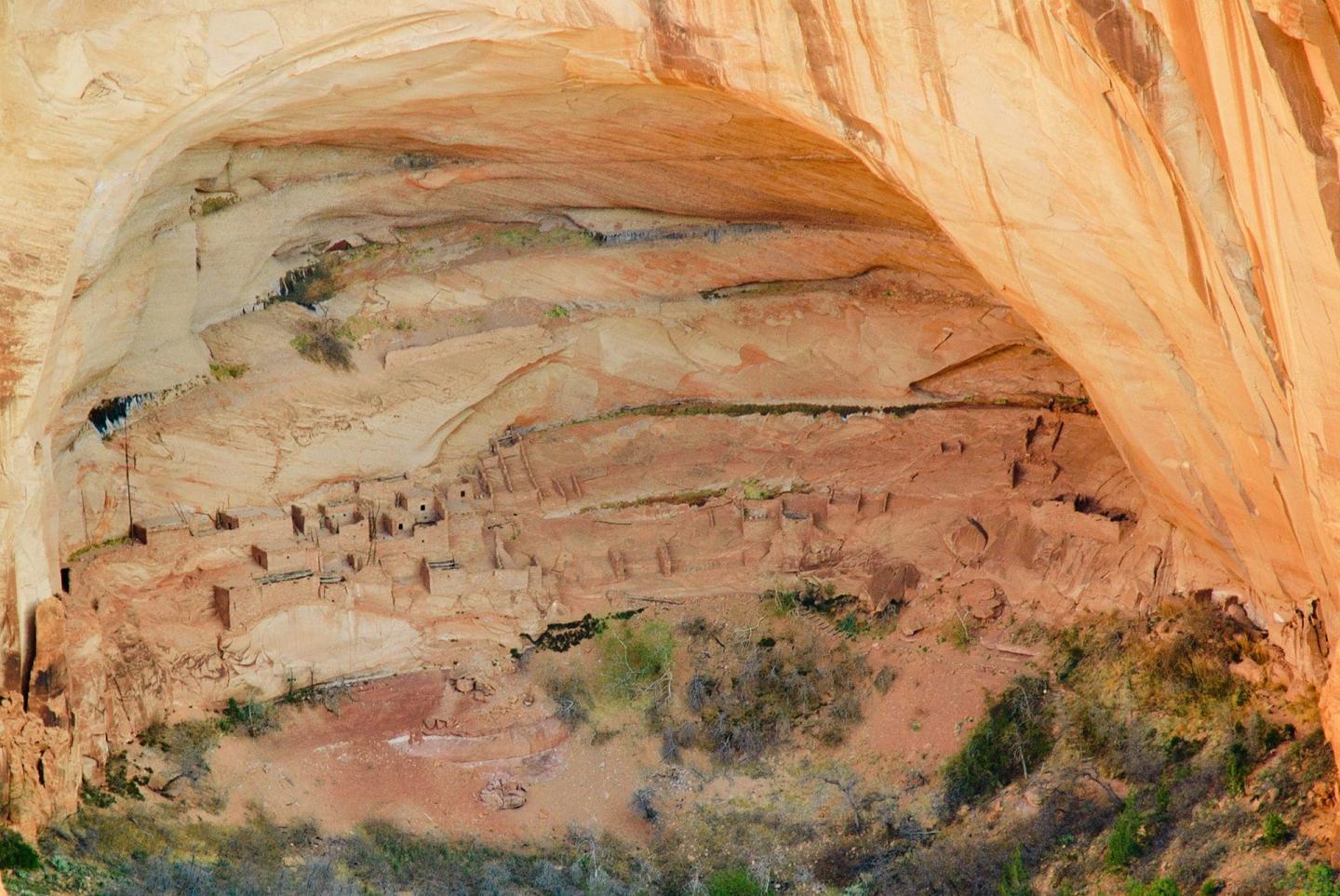 Navajo