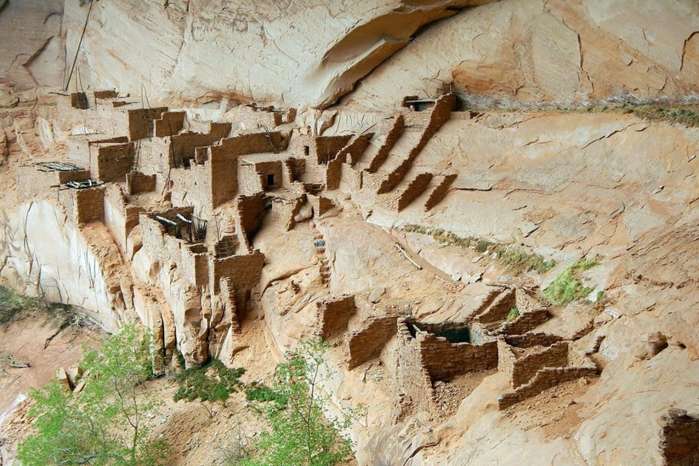 Navajo