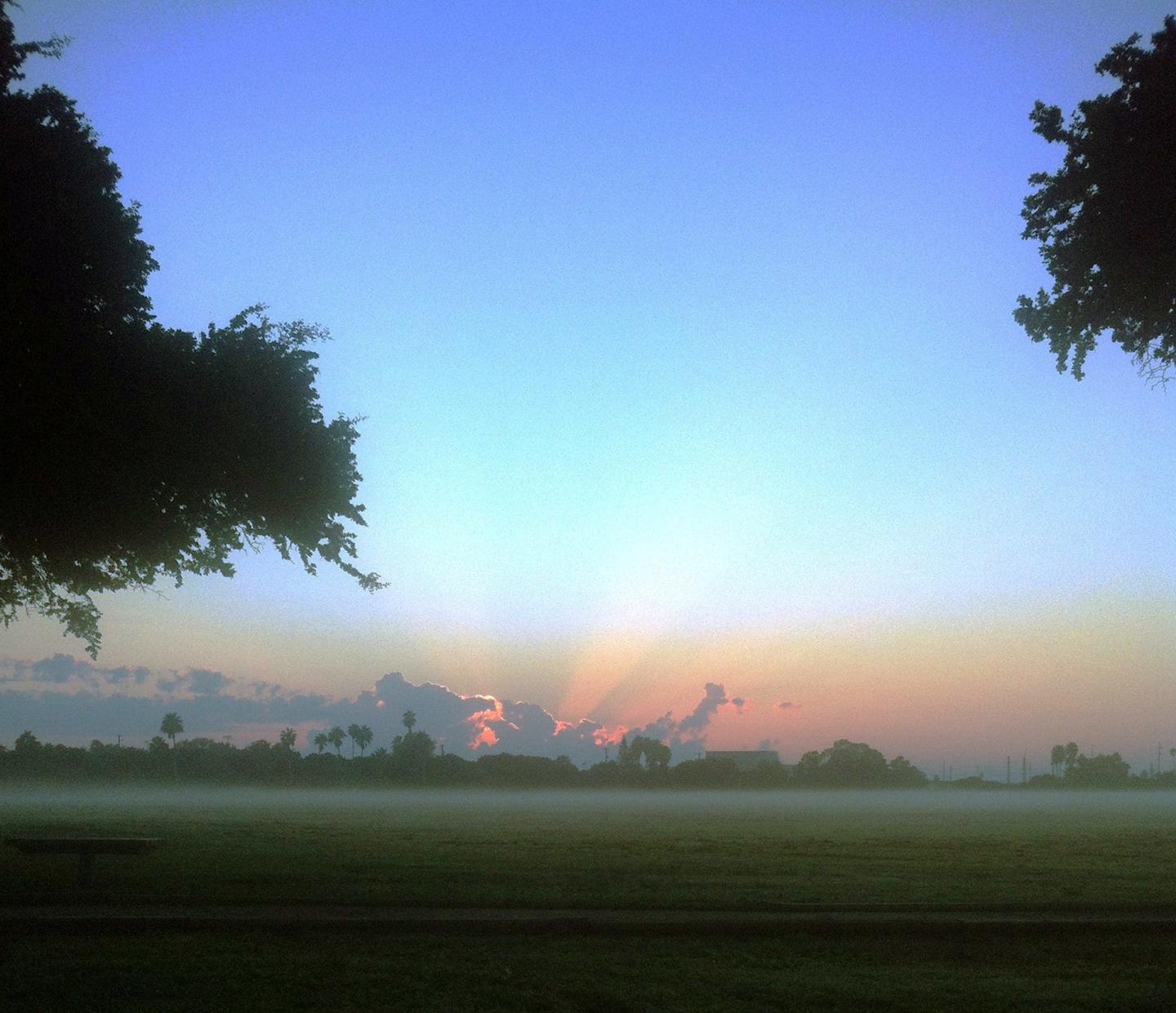 Palo Alto Battlefield