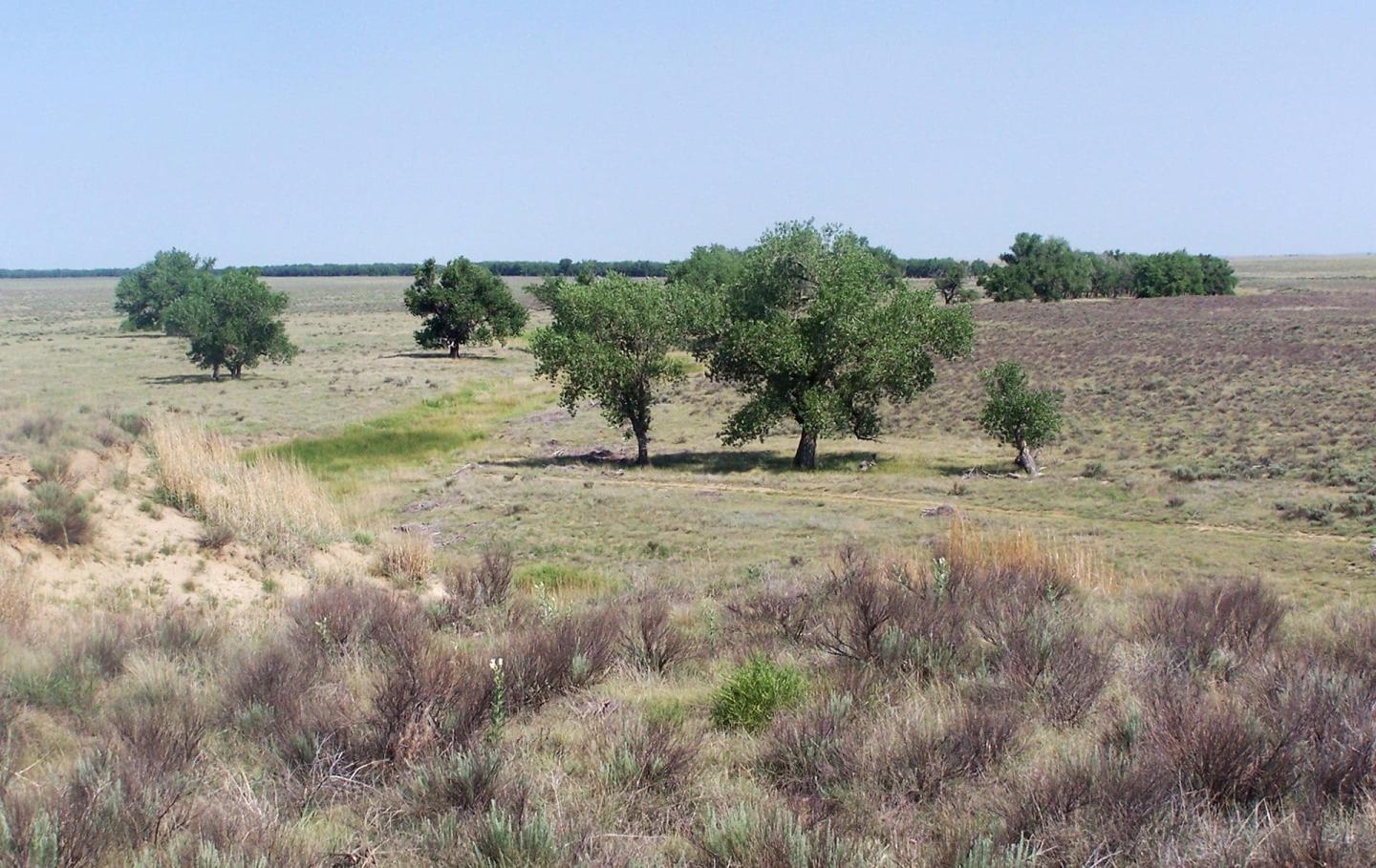 Sand Creek Massacre
