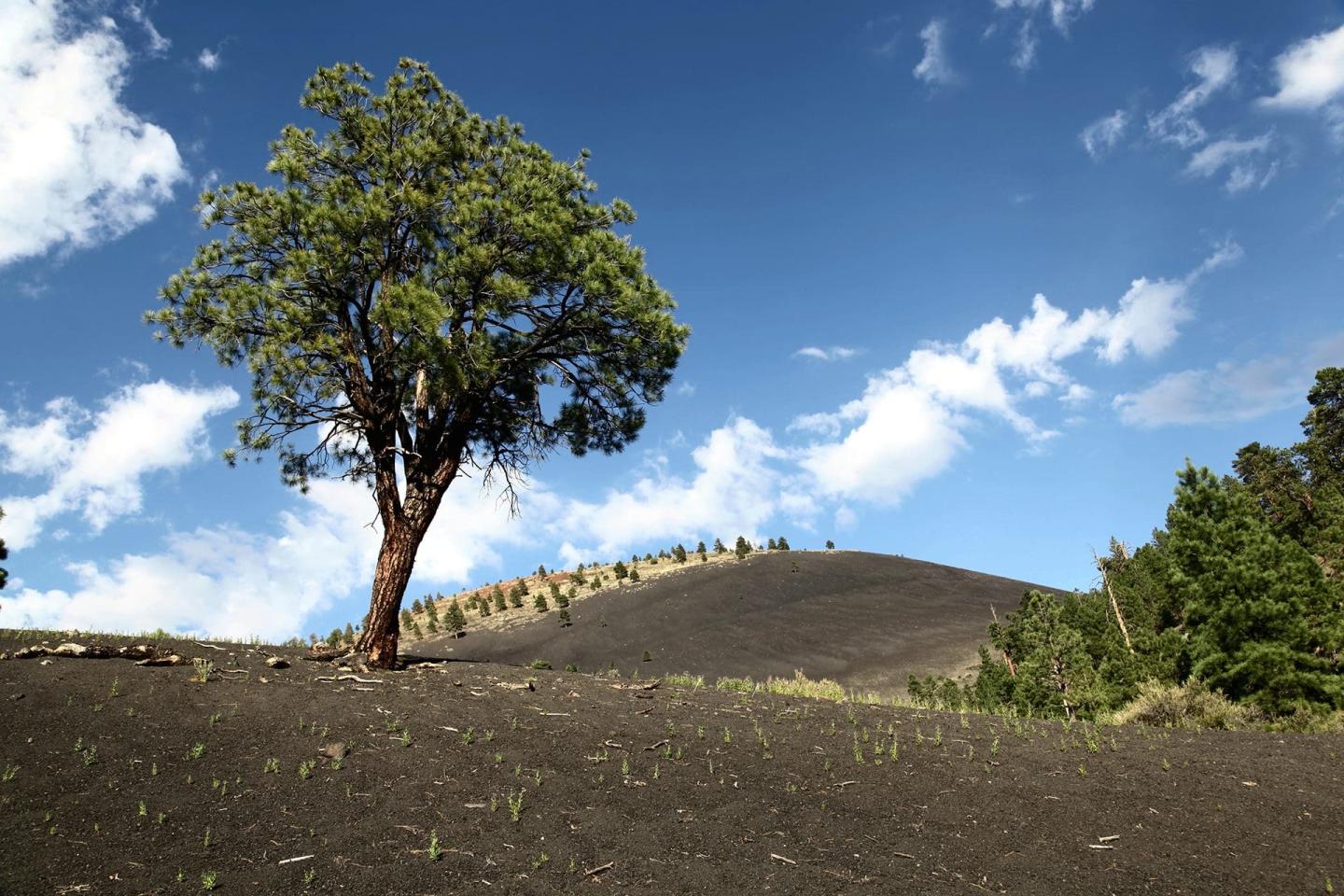 Sunset Crater Volcano