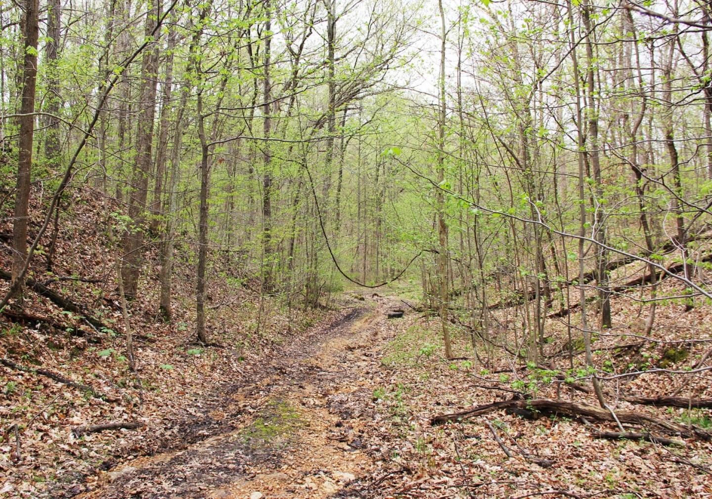 Trail of Tears