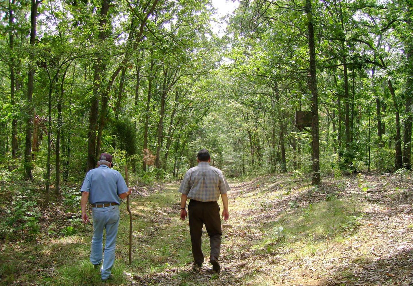 Trail of Tears