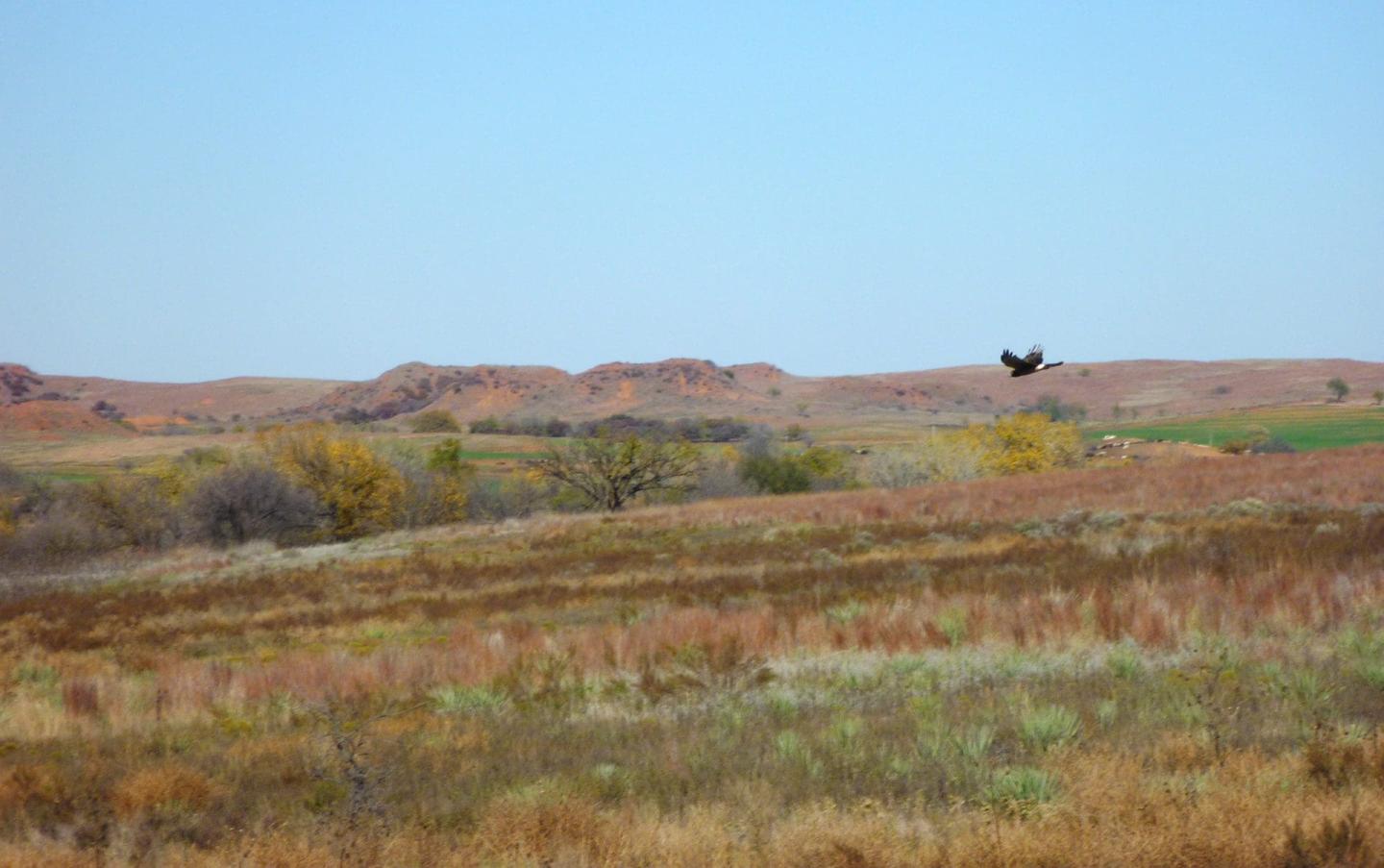 Washita Battlefield