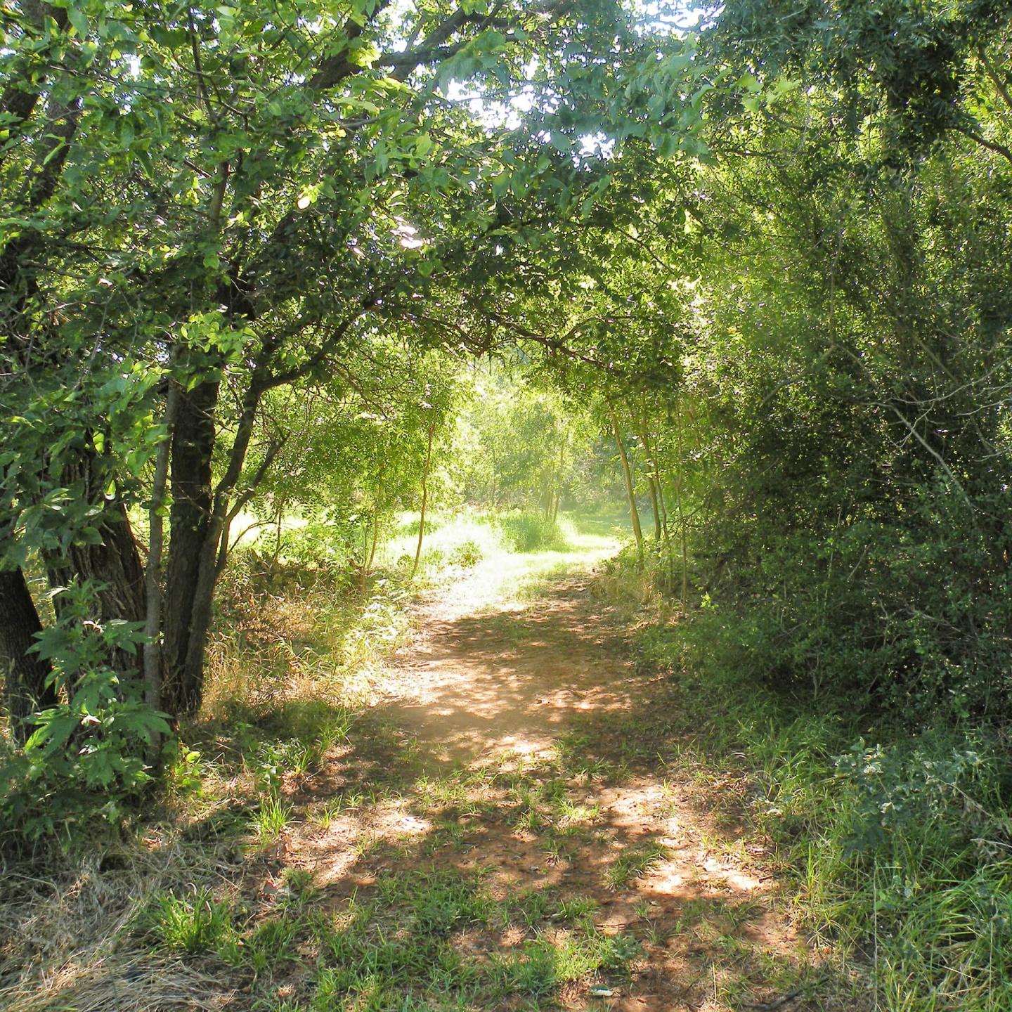 Washita Battlefield