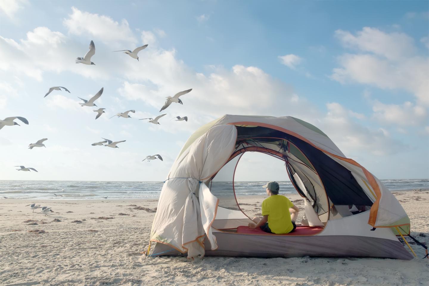 Tent on a sandy beach with seagulls flying and a person sitting inside, facing the sea.