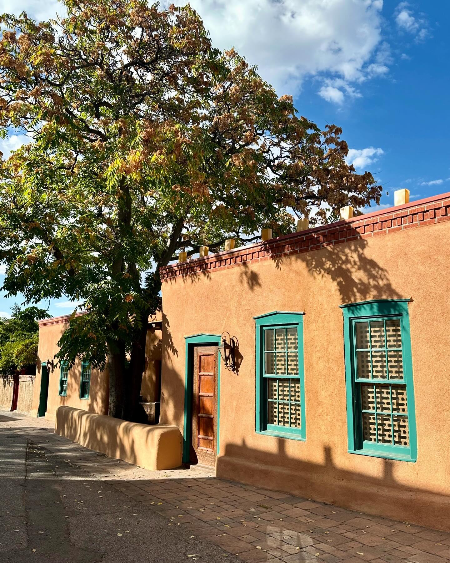 Adobe building with turquoise trim and tree under a blue sky.