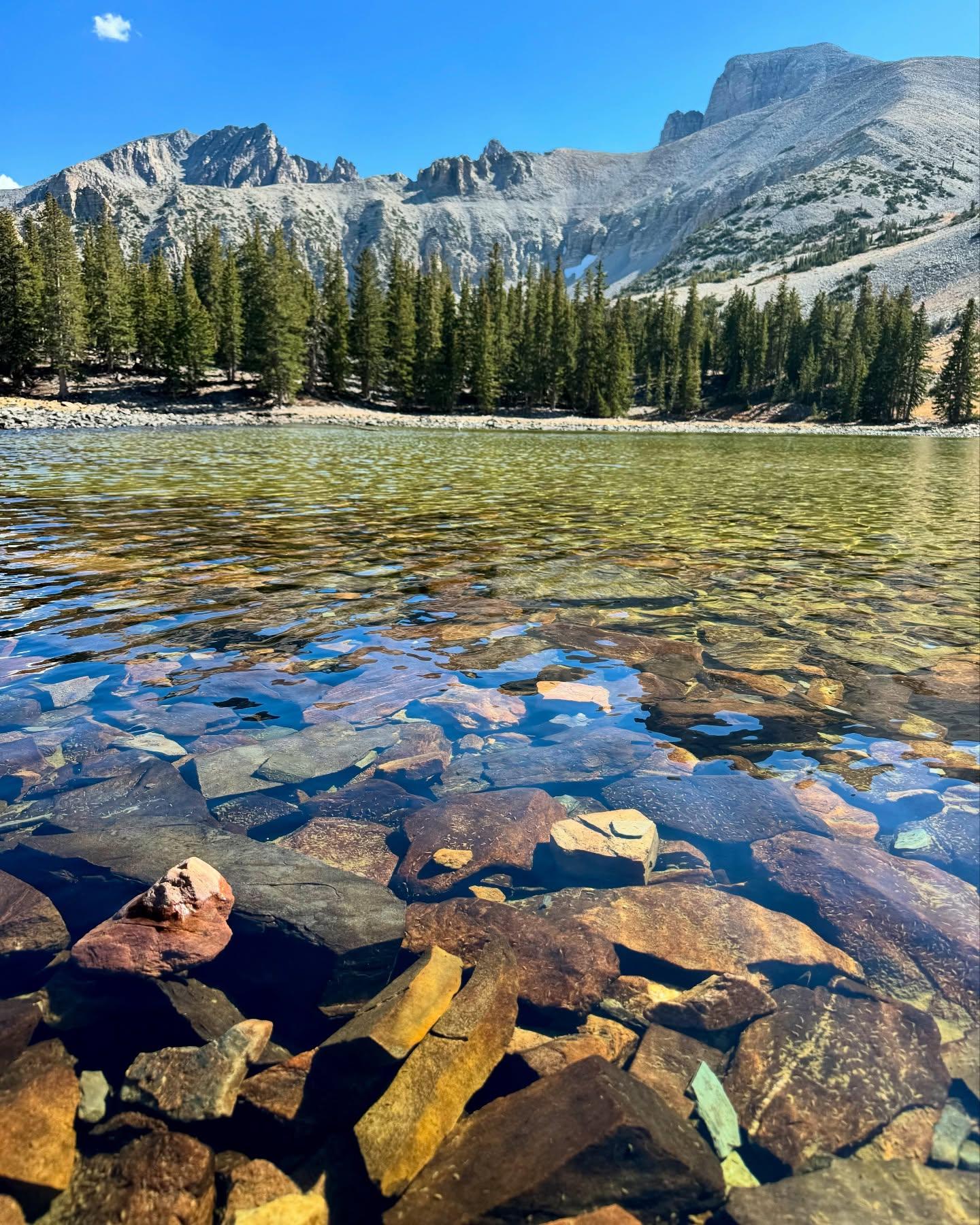 Clear lake with colorful stones in foreground, trees and mountains under a blue sky in background.