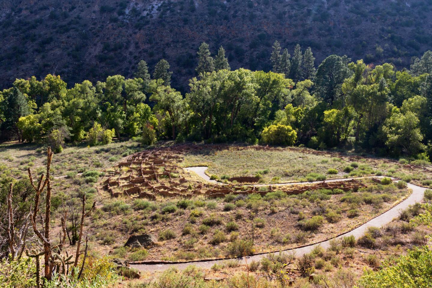 Aerial view of Frijoles Canyon amid green trees and a winding path.