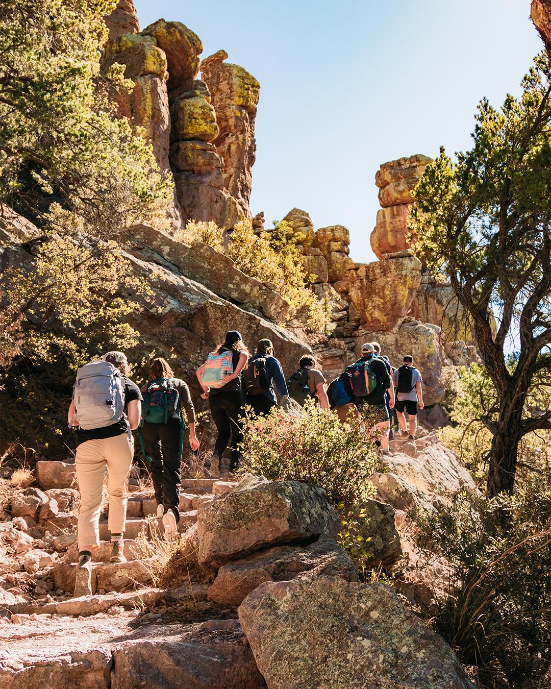 Hikers ascending a rocky trail surrounded by trees and tall rock formations.