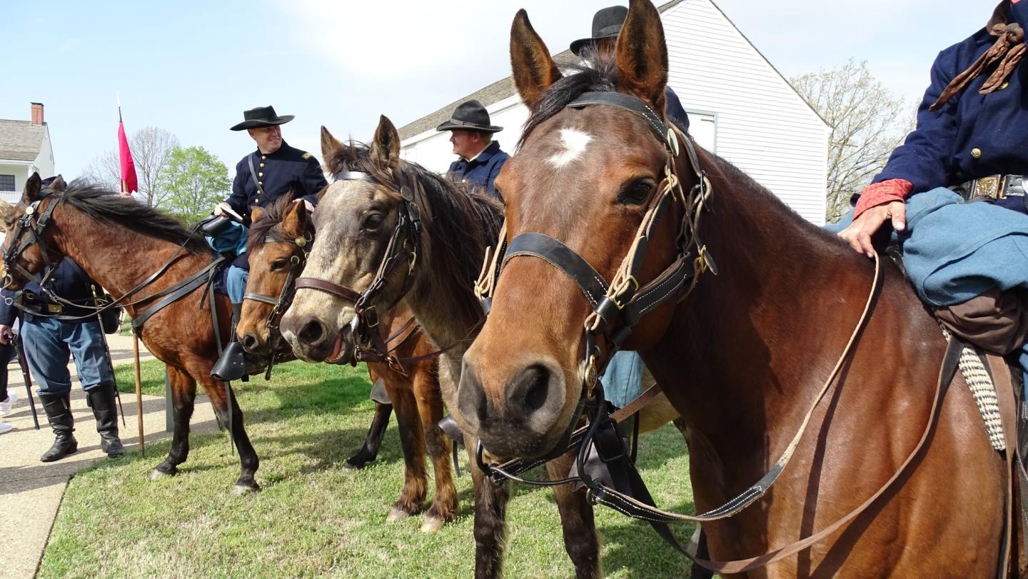 Men on horseback in historical uniforms, standing outdoors on grass.