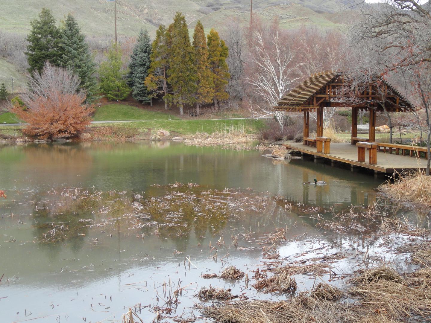 Lakeside gazebo with autumn trees and still water in a park setting.