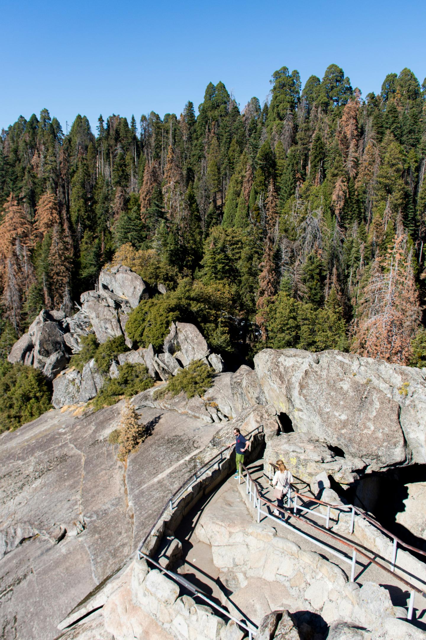 Moro Rock trail with trees in the background under a clear blue sky.