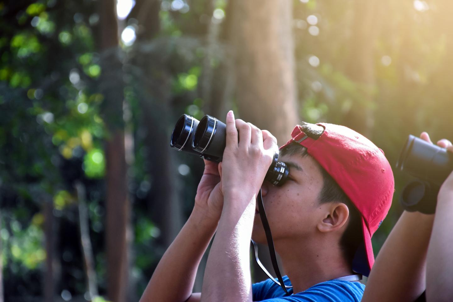 Young man with a red cap uses binoculars in a sunlit forest.