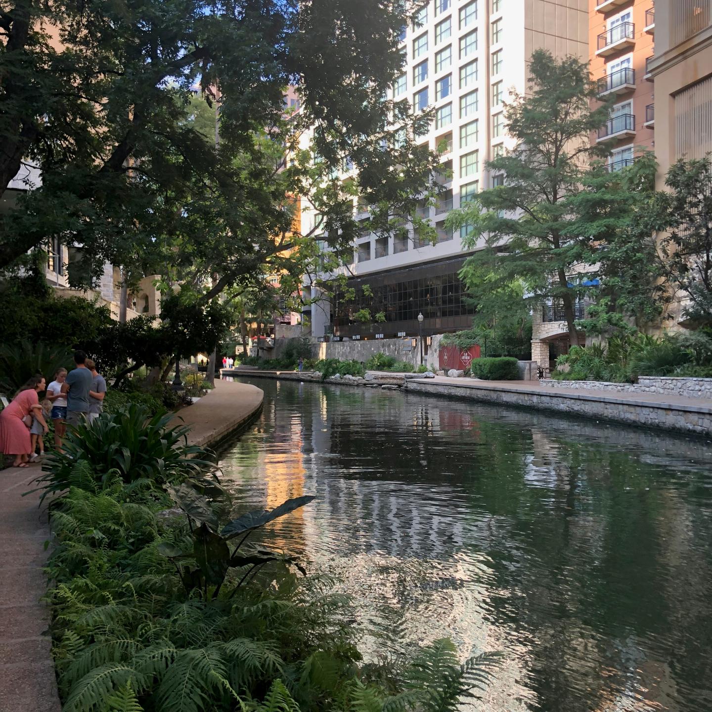 Calm river with lush greenery and tall buildings in the background.