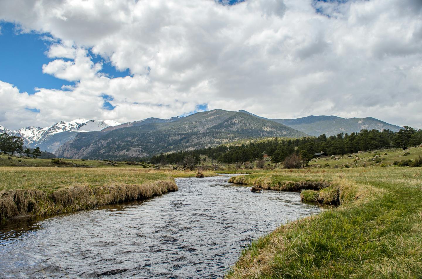 Stream flowing through grassy landscape with Rocky Mountains in the background.