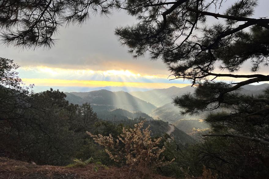 Sun rays streaming through clouds over a mountainous landscape with trees in the foreground.