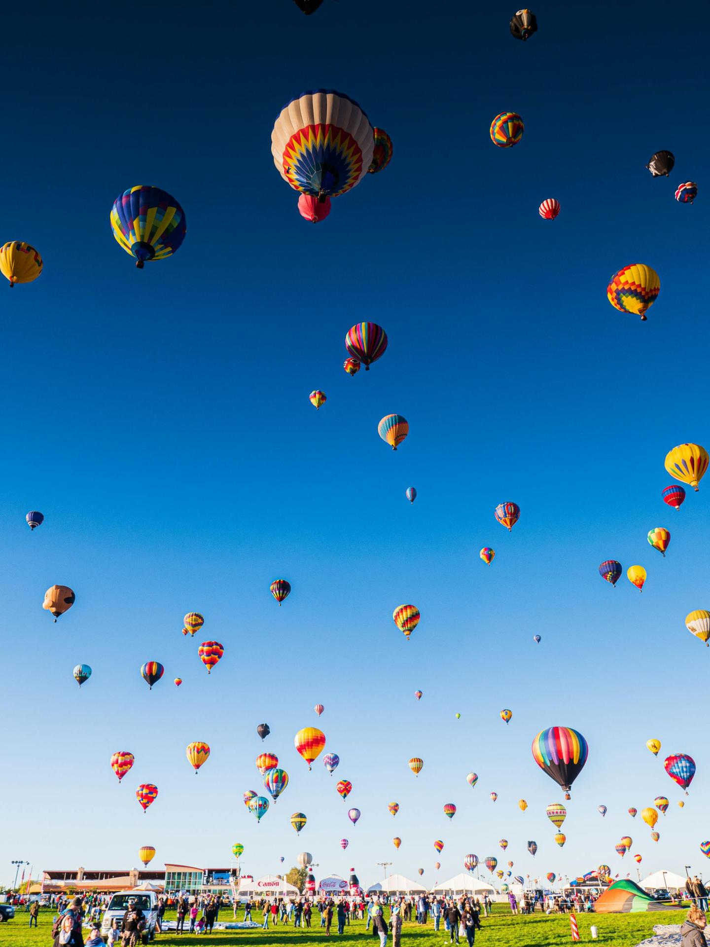 Hot air balloons of various colors float in a clear blue sky over a grassy field.