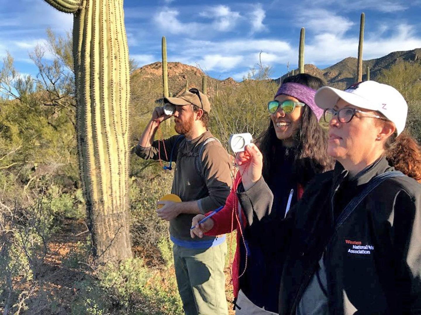 Three people observing nature with cameras near a tall cactus in a desert landscape.