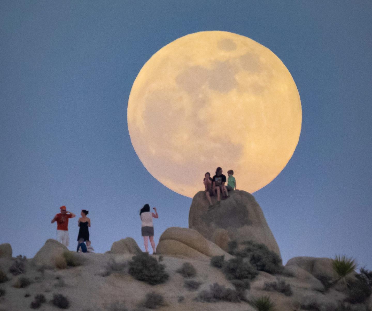 People on a hill with a large full moon in the background.