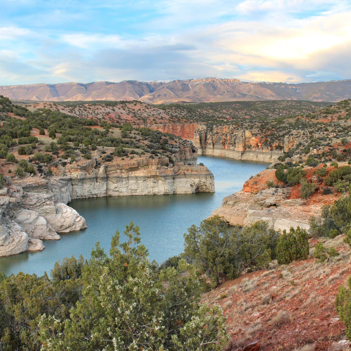 Scenic canyon with a winding river, rocky cliffs, and scattered greenery.