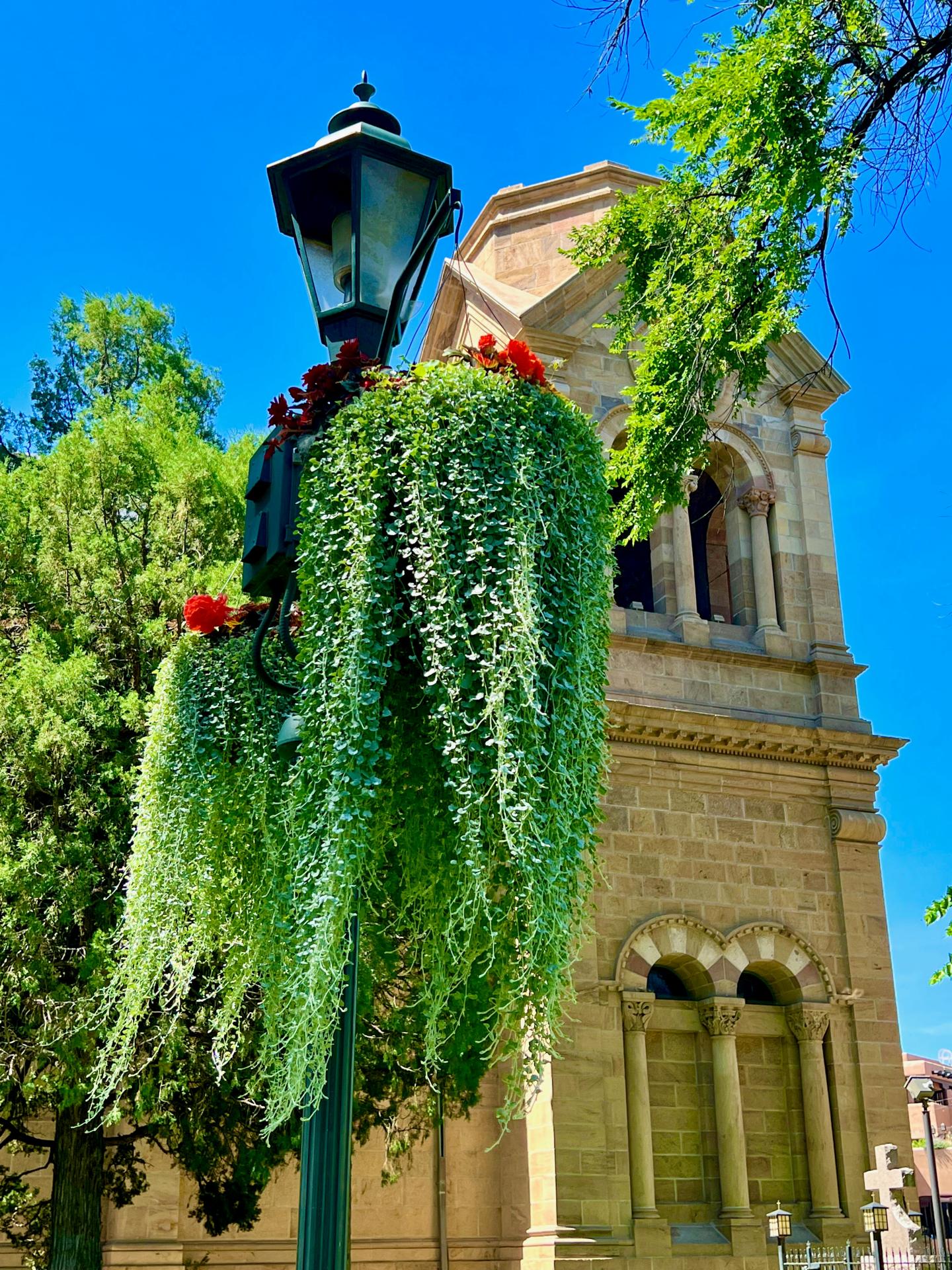 Lamp post with hanging greenery, red flowers, church in background, bright blue sky.
