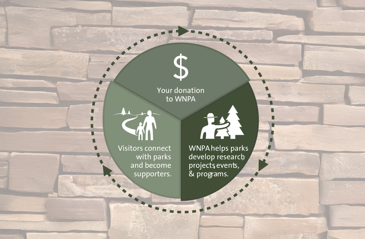 A green circular infographic with icons and text, on a stone background.