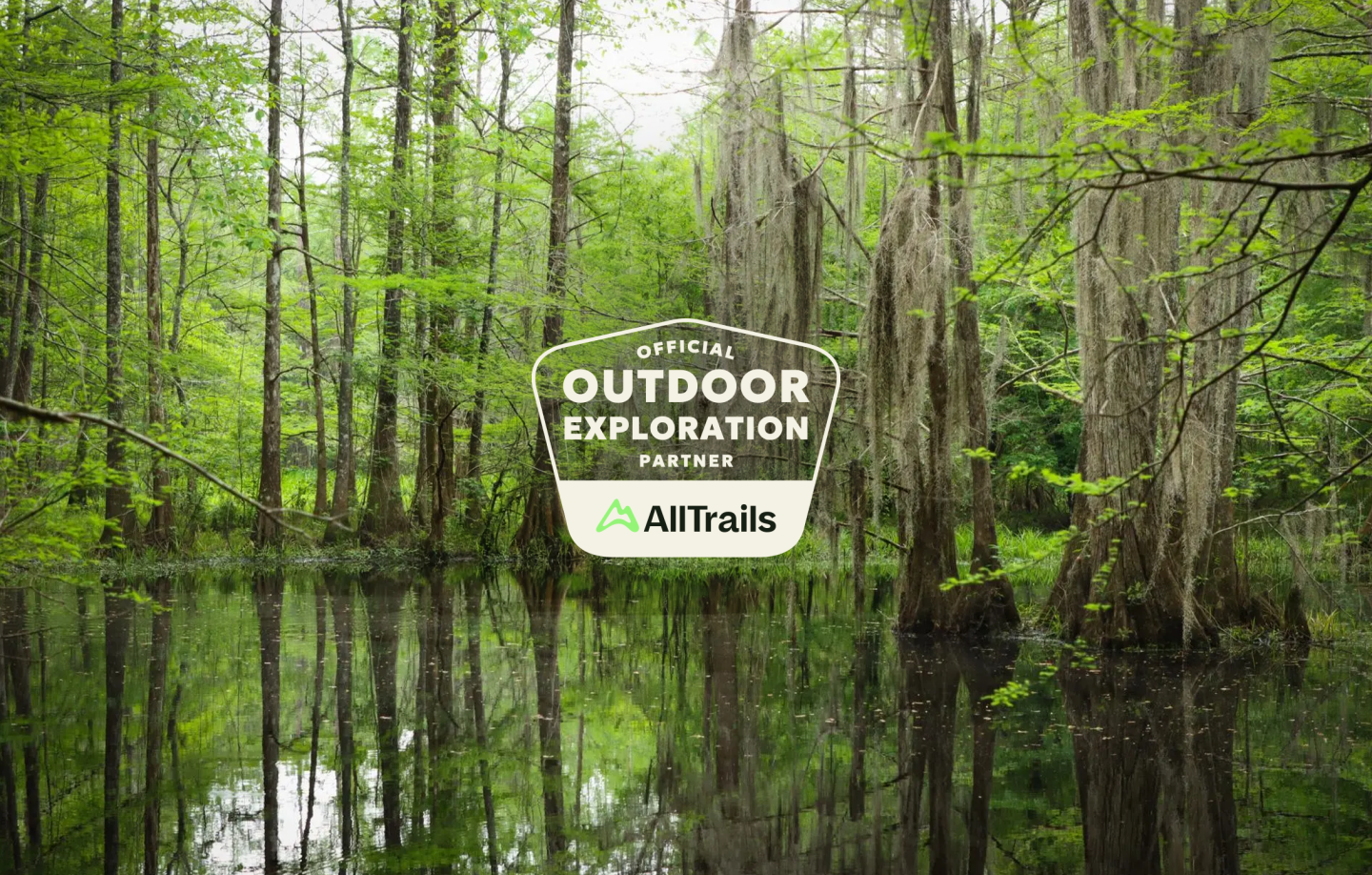 Lush green swamp with tall trees reflected in calm water.
